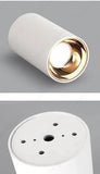 12W LED Indoor Outdoor Ceiling Lamp Round Drum Cylinder White Rose Gold Wall Light 3000k (Warm White) - Ashish Electrical India