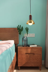 Led Black Gold Modern Pendant Light for Bedside Dining Hanging Light - Warm White