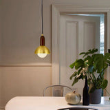 Led Black Gold Modern Pendant Light for Bedside Dining Hanging Light - Warm White