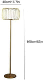 Metal Floor lamp with Frost Glass Cage Living Room Standing lamp - Gold