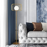 Metal Floor lamp with Frost Glass Cage Living Room Standing lamp - Gold