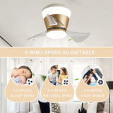 22 Inch Gold Low Profile Ceiling Light with Fan LED Chandelier