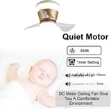22 Inch Gold Low Profile Ceiling Light with Fan LED Chandelier
