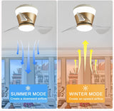 22 Inch Gold Low Profile Ceiling Light with Fan LED Chandelier