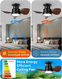 22 Inch Black Low Profile Ceiling Light with Fan LED Chandelier - Warm White - Ashish Electrical India