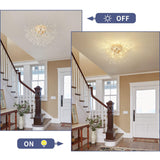 500 MM Surface Modern Beads Chandelier for Low Height Ceiling