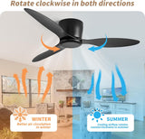 52 INCH HUGGER WIND LEAF CEILING FAN - BLACK