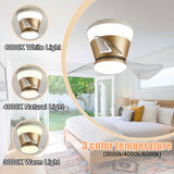 22 Inch Gold Low Profile Ceiling Light with Fan LED Chandelier