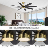 72 Inch 8 Blade Wind lamp ceiling fan remote Controlled - Black Gold