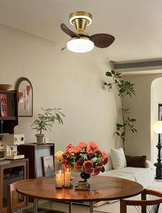 22 Inch Gold Low Profile Ceiling Light with Fan LED Chandelier