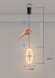 LED Light Modern LED Pendant Hanging Light for Bedside Ding Living Room - Warm White