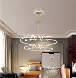 2 Layer Curl Rings Modern Gold LED Chandelier Hanging Suspension Lamp - Warm White - Ashish Electrical India