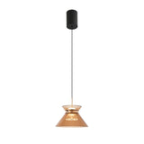 1 Light LED Glass Amber Champagne Color Gold Pendant Ceiling Light - Warm White - Ashish Electrical India