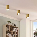 12W LED Indoor Outdoor Antiqe Gold Ceiling Lamp Round Drum Cylinder Light 3000k (Warm White)