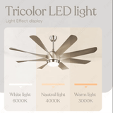 60 Inch 8 Blades Matt Chrome Ceiling Fan with LED Light and Remote Control