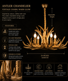 6 LIGHT Wooden Antler CHANDELIER LIGHT FOR DINING HALL