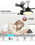 High Quality Silent Function Ceiling Fan With 3 Blades - Black