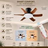 30 Inch Hugger Low Profile Ceiling Light with Fan LED Chandelier