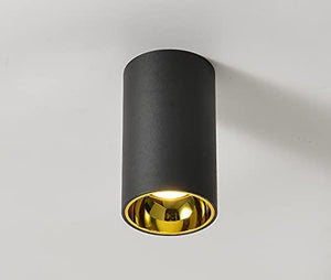 12W LED Indoor Outdoor Ceiling Lamp Round Drum Cylinder Black Gold Wall Light 3000k Waterproof (Warm White)
