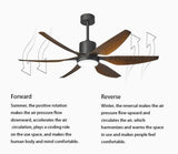 52 Inch 6 Blade Wind lamp ceiling fan remote Controlled - Dark Wood - Ashish Electrical India