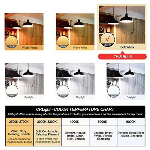 Led Vintage Edison Light Bulb 4W Squirrel Cage Filament Light Bulb T45 Classic Amber Glass E26 E27 Medium Base 2 Pack